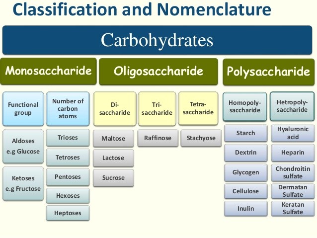 What Is The Basic Chemical Composition Of Carbohydrates